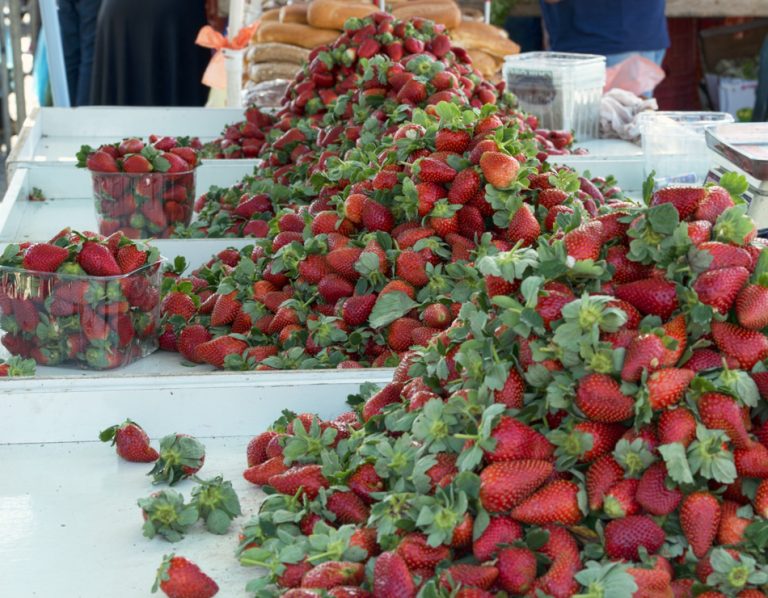 Israel: Turning the Desert into Milk and Honey and Strawberries